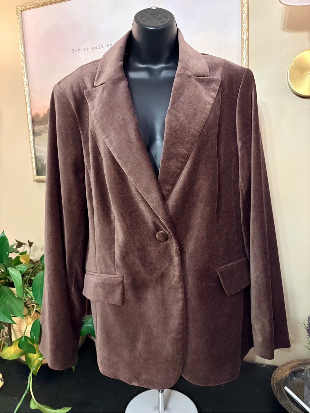 Apostrophe Chocolate Brown Velvet Single-Button Blazer